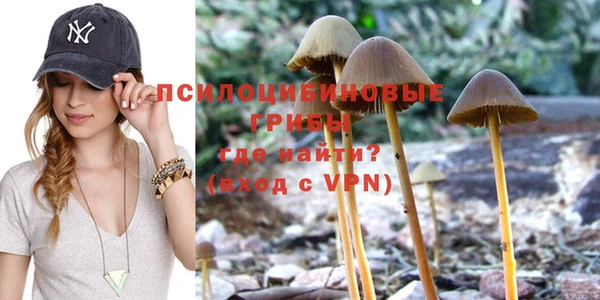 прущая мука Аркадак